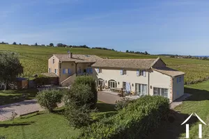 10 bedroom mansion surrounded by its own vines Ref # JP5262S 