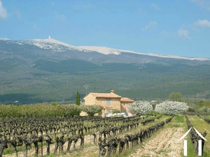 Property surrounded by cherry trees, vines and views Ref # 11-2465 
