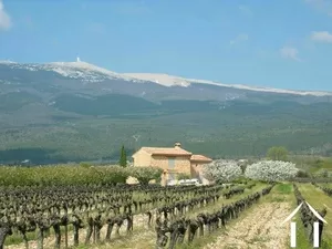 Property surrounded by cherry trees, vines and views Ref # 11-2465 