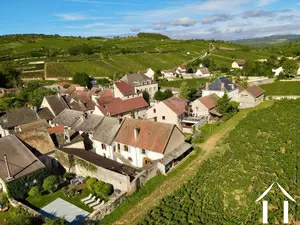 Grand house with view on the Pommard vineyards Ref # CR5448BS 