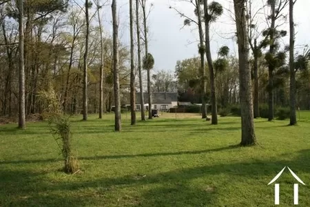 The property sits in mature gardens to both the front and rear and includes some woodland. This shot shows the length of the back plot/garden. 