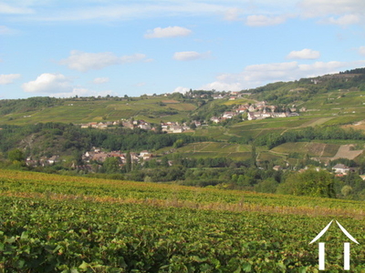 Une autre vue du vignoble