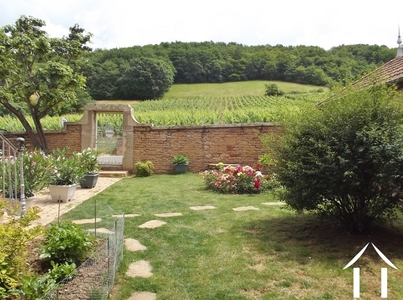 front garden with vineyards across the road