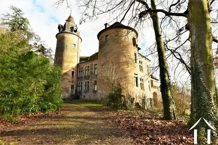 Castle, estate for sale st gengoux le national, burgundy, JP4644S Image - 8