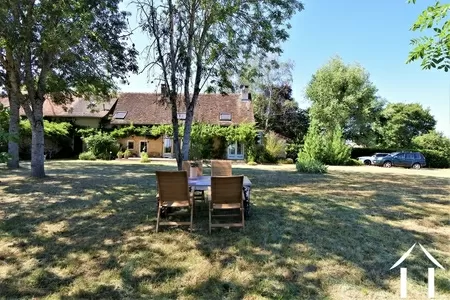 mature trees in the garden