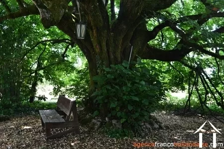 House with guest house for sale st saud lacoussiere, aquitaine, Li1002 Image - 38