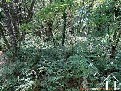 House for sale , Li1003 Image - 38