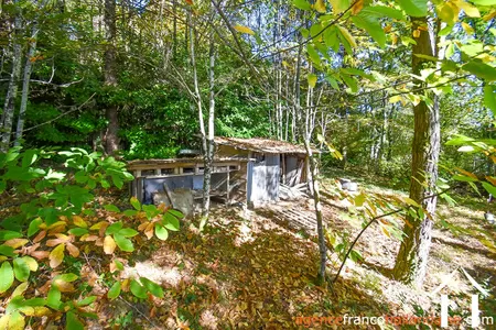 House for sale meuzac, limousin, Li1019 Image - 41