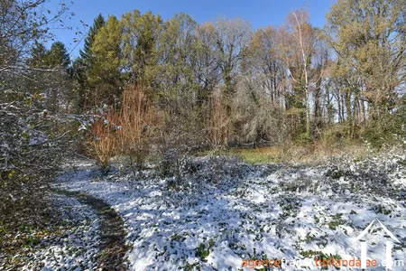 House with guest house for sale chateauneuf la foret, limousin, Li1025 Image - 42