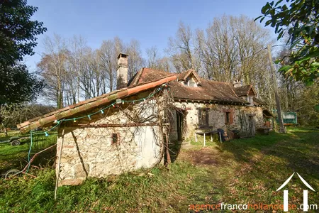 House with guest house for sale chateauneuf la foret, limousin, Li1025 Image - 35
