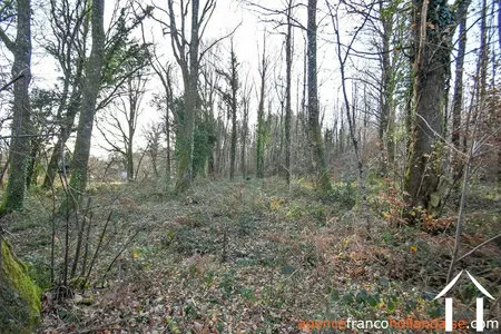 House with guest house for sale chateauneuf la foret, limousin, Li1025 Image - 65