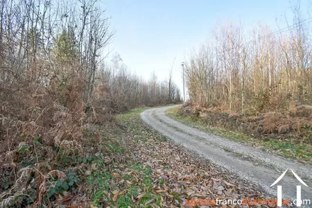 House with guest house for sale chateauneuf la foret, limousin, Li1025 Image - 71