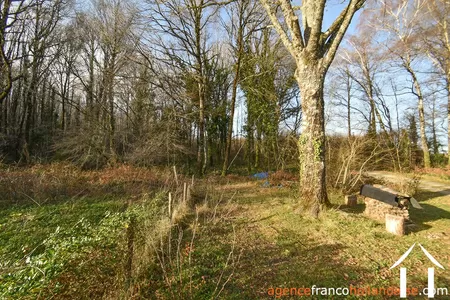 House with guest house for sale chateauneuf la foret, limousin, Li1025 Image - 68