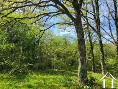 House for sale chateau chervix, limousin, Li1032 Image - 73