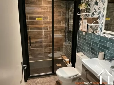 House with guest house for sale st mesmin, champagne-ardenne, Li1044 Image - 30