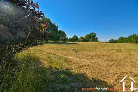 Property 1 hectare ++ for sale chateauneuf la foret, limousin, Li1062 Image - 52