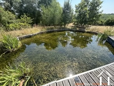 House with guest house for sale brouchaud, aquitaine, Li1068 Image - 30