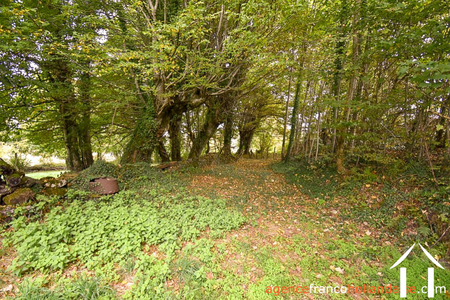 House for sale st germain les belles, limousin, Li792 Image - 45