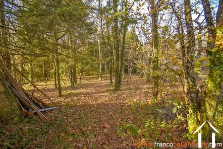 Village house for sale linards, limousin, Li856 Image - 75