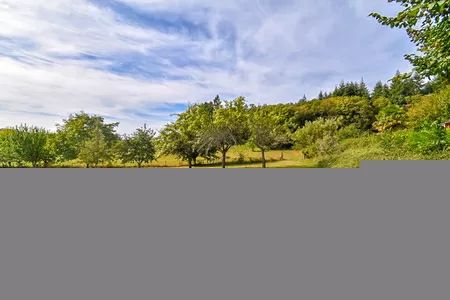 Property 1 hectare ++ for sale la croisille sur briance, limousin, Li894 Image - 50