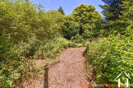 House for sale nedde, limousin, Li913 Image - 39