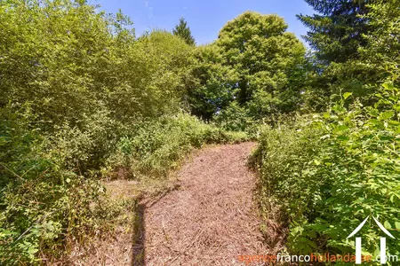 House for sale nedde, limousin, Li913 Image - 39