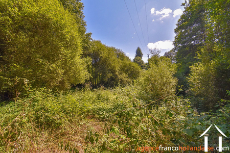 House for sale nedde, limousin, Li913 Image - 40