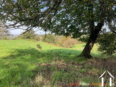 House for sale beyssenac, limousin, Li929 Image - 66