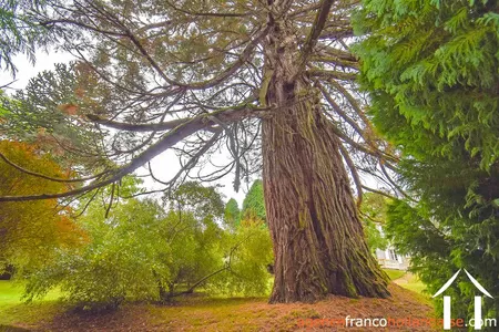 Manor House for sale ussel, auvergne, Li944 Image - 75