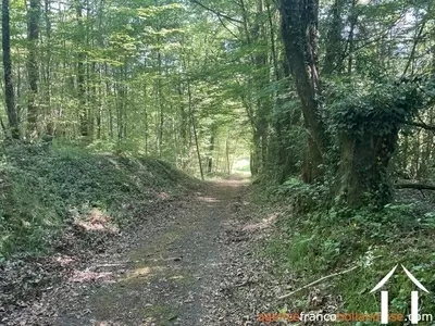 House for sale st pardoux corbier, limousin, Li993 Image - 30