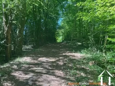 House for sale st pardoux corbier, limousin, Li993 Image - 29