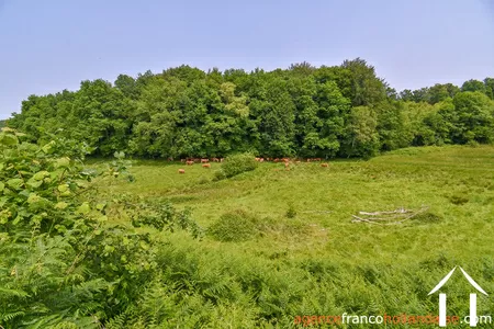 House for sale rempnat, limousin, Li996 Image - 44