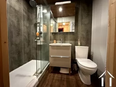 Farmhouse for sale laprugne, auvergne, AP030071117 Image - 5