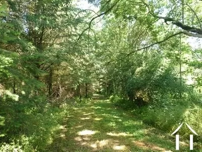 House for sale louroux de beaune, auvergne, AP030071138 Image - 11