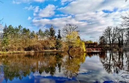 House for sale lurcy levis, auvergne, AP030071139 Image - 1