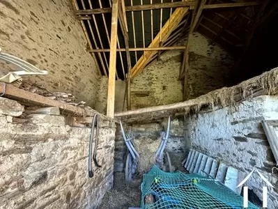 House for sale nades, auvergne, AP030071167 Image - 11