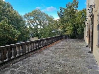Castle, estate for sale antoingt, auvergne, AP03007945 Image - 14