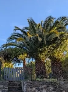 Character house for sale fos, midi-pyrenees, EG11-2508 Image - 9