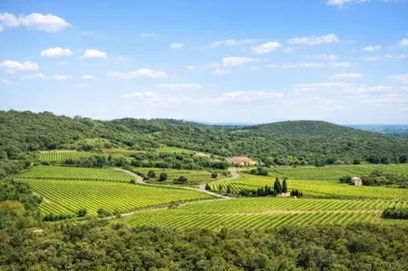 House for sale faugeres, rhone-alpes, EG11-2546 Image - 9