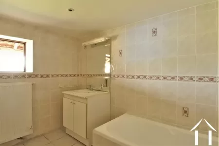 Property 1 hectare ++ for sale st didier en bresse, burgundy, JP5248B Image - 12