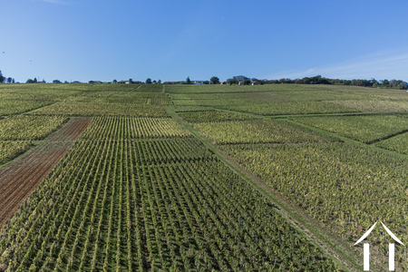 Manor House for sale macon, burgundy, JP5262S Image - 20