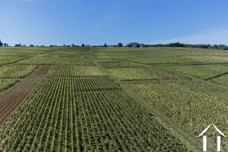 Manor House for sale macon, burgundy, JP5262S Image - 20