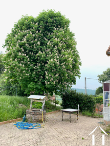 La cour (côté Est) et le puits