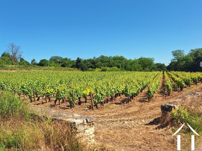 House for sale chagny, burgundy, JDP5598S Image - 35