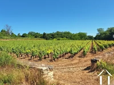 House for sale chagny, burgundy, JDP5598S Image - 35