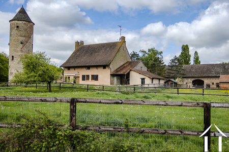 Old Fortified Farm, 6.6 hectares, Burgundy Bresse region Ref # BH5614B 