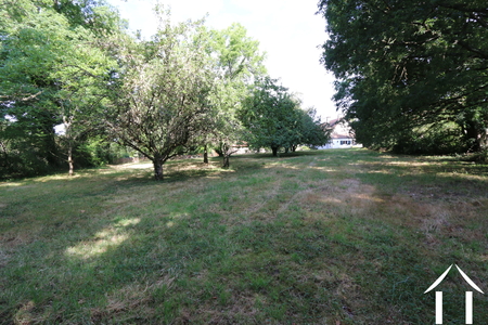 View from end of the garden
