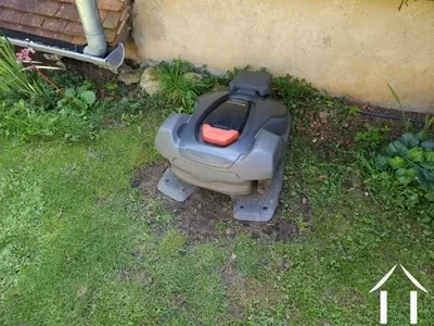 Meet Auto-Mower!