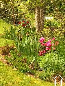 House for sale cussy en morvan, burgundy, cvh5641 Image - 15