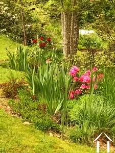 House for sale cussy en morvan, burgundy, cvh5641 Image - 15